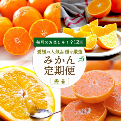 【ふるさと納税】【発送月固定定期便】愛媛の人気品種を厳選!みかん定期便(秀品)【H25-166】全12回【配送不可地域：離島】【4054625】