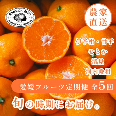 【ふるさと納税】【発送月固定定期便】愛媛の美味しい人気柑橘5品種 甘平・せとか・河内晩柑等【H70-43】全5回【4055162】