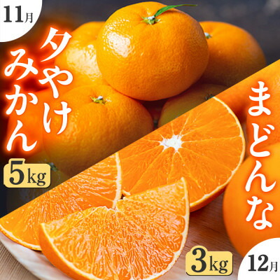 楽天市場】【ふるさと納税】【発送月固定定期便】「こたつの上の冬物語