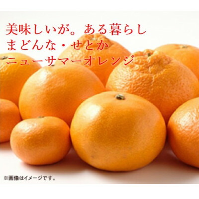 楽天市場】【ふるさと納税】【発送月固定定期便】美味しい柑橘 楽天市場】【ふるさと納税】【発送月固定定期便】美味しい柑橘