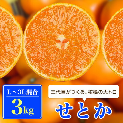 【ふるさと納税】三代目の柑橘の大トロ【せとか】3kg【C31-6】_ みかん ミカン 柑橘 果物 くだもの フルーツ せとか 甘い 希少 愛媛 デザート 愛媛みかん 濃厚 ジューシー 果汁たっぷり 厳選 柑橘の大トロ 【配送不可地域：離島】【1071620】
