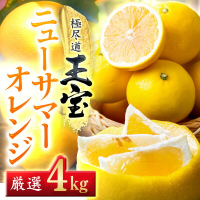 【ふるさと納税】【愛媛名産】玉宝ニューサマーオレンジ　4kg【C64-37】_ みかん ミカン 柑橘 日向夏 ニューサマーオレンジ フルーツ くだもの 果物 ふるーつ 青果 果実 甘い ジューシー 産直 産地直送 旬 柑橘類 人気 愛媛 果汁 【1510858】