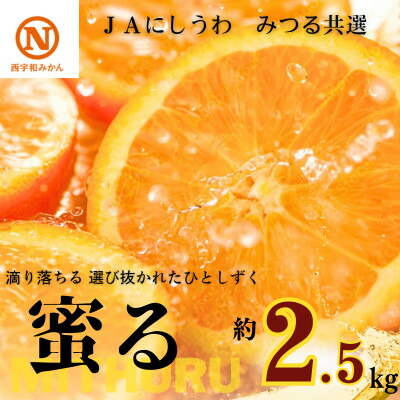 【ふるさと納税】JAにしうわの季節の柑橘(みつる共選「蜜る」約2.5kg)【C08-74】【1447980】