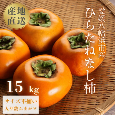 【ふるさと納税】《秋の味覚 種なしで食べやすい》 ひらたねなし柿 15kg (7.5kg×2箱)【H20-40】【1594098】