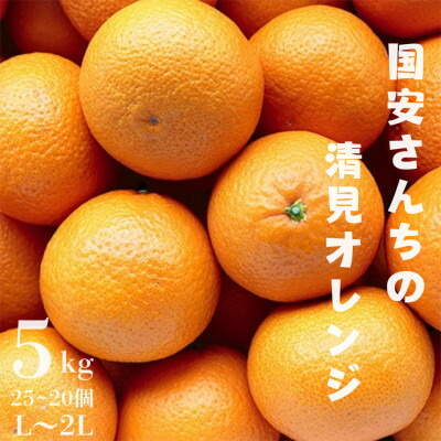 【ふるさと納税】【まるで食べるジュース!越冬完熟品】愛媛産 清見オレンジ 5kg【D20-38】【1594848】