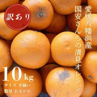 【ふるさと納税】【まるで食べるジュース!越冬完熟品】愛媛産 訳あり 清見オレンジ 10kg【F20-34】【1594861】