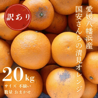 【ふるさと納税】【まるで食べるジュース!越冬完熟品】愛媛産 訳あり 清見オレンジ 20kg【H20-35】【1594863】