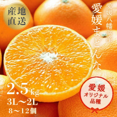 【ふるさと納税】【まるでゼリー!ぷるぷる食感 冬ギフトに一番人気!】愛媛まどんな 贈答用約2.5kg【F20-52】【1595881】