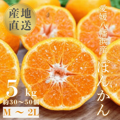 【ふるさと納税】【南国を感じさせる独特の香り】愛媛ポンカン 5kg【D20-53】【1595883】