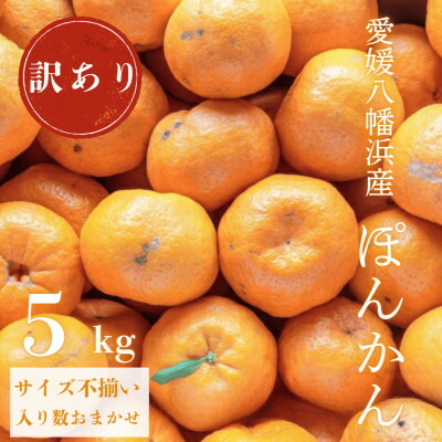 【ふるさと納税】【南国を感じさせる独特の香り】訳あり 愛媛ポンカン 5kg【C20-54】【1595884】