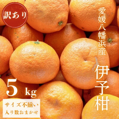 【ふるさと納税】【爽やか香りと柔らかジューシーな果肉】愛媛八幡浜産 訳あり 宮内伊予柑 5kg【C20-56】【1595886】