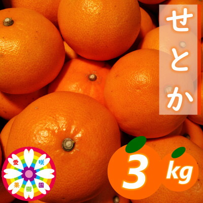 【ふるさと納税】愛咲果樹園「せとか」約3kg【D71-23】【1598823】