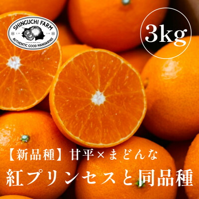 【ふるさと納税】《新品種》「甘平×まどんな」　愛果48号〈紅プリンセスと同品種〉【3kg】【家庭用】【E70-63】_ みかん 蜜柑 ミカン 愛媛 柑橘 かんきつ 媛果プリンセス 希少 果物 くだもの フルーツ デザート 3kg 甘い 家庭用 産直 産地直送 【1602936】