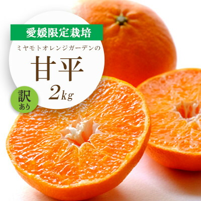 【ふるさと納税】【2026年2月より順次発送】愛媛限定栽培柑橘 甘平(かんぺい)2kg【訳あり】【D25-184】【1608049】