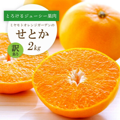 【ふるさと納税】【2026年2月以降発送】とろける濃厚柑橘 せとか2kg 愛媛県八幡浜産【訳あり】【C25-185】【1608186】