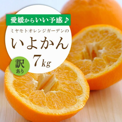 【ふるさと納税】【2026年発送】愛媛から「いい予感」♪ジューシー果肉 いよかん7kg【訳あり】【C25-186】【1608865】
