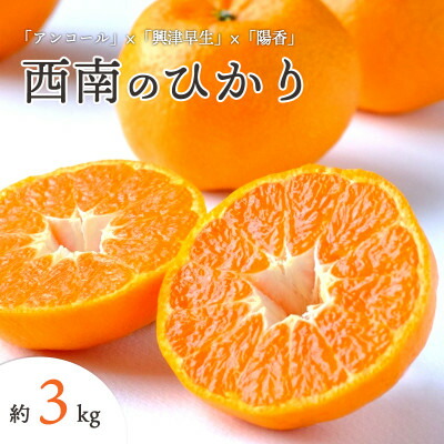 【ふるさと納税】【2025年12月以降発送】愛媛県八幡浜市産 西南のひかり 3kg【C25-191】【1610084】