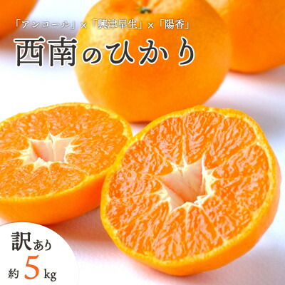 【ふるさと納税】【2025年12月以降発送】愛媛県八幡浜市産 西南のひかり 5kg【訳あり】【C25-192】【1610089】