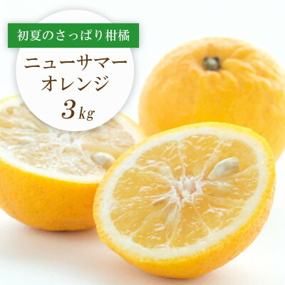 【ふるさと納税】【2026年4月下旬頃出荷】ワタまでおいしい ニューサマーオレンジ 3kg【C25-212】【1612591】