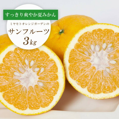 【ふるさと納税】【2026年3月以降発送】さっぱりみずみずしい サンフルーツ(甘夏)3kg【C25-213】【1612610】