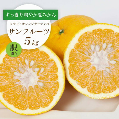 【ふるさと納税】【2026年3月以降発送】さっぱりみずみずしいサンフルーツ(甘夏)5kg【訳あり】【C25-214】【1612630】