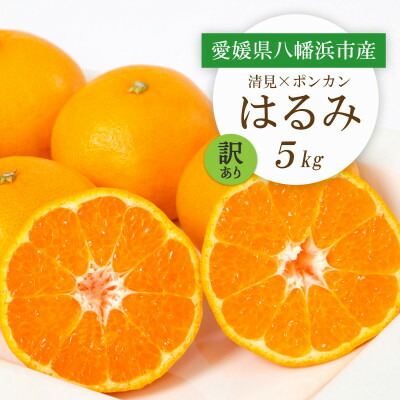 【ふるさと納税】【2026年2月より順次発送】愛媛県八幡浜市産 はるみ5kg【訳あり】【C25-209】【1612666】