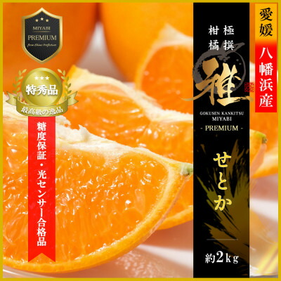 【ふるさと納税】極撰柑橘【雅プレミアム】糖度保証・光センサー合格品「 せとか 」約2キロ【D39-62】【配送不可地域：離島】【1614238】