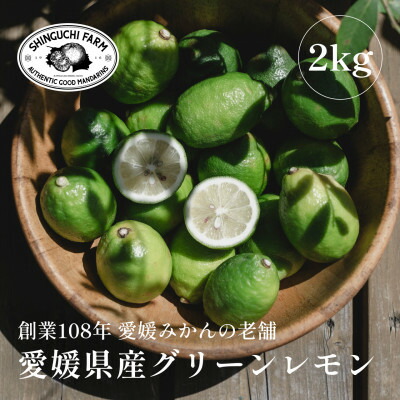【ふるさと納税】【防腐剤・ワックス不使用】愛媛県産グリーンレモン 2kg【B70-68】【1615804】
