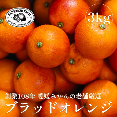 【ふるさと納税】創業百八年 愛媛みかんの老舗【ブラッドオレンジ 3kg】新口農園【C70-69】【1615814】