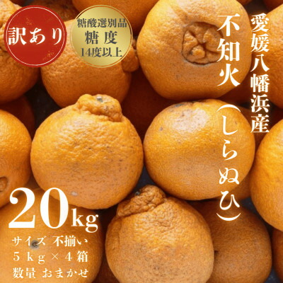 【ふるさと納税】【糖度14.0以上酸1.4以下】糖酸選別品 愛媛産 訳あり不知火(しらぬひ)20kg【H20-62】【配送不可地域：離島】【1620231】