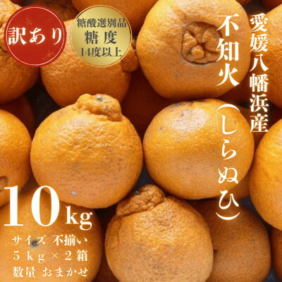 【ふるさと納税】【糖度14.0以上酸1.4以下】糖酸選別品 愛媛産 訳あり不知火(しらぬひ)10kg【F20-63】【配送不可地域：離島】【1620233】