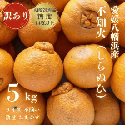 【ふるさと納税】【糖度14.0以上酸1.4以下】糖酸選別品 愛媛産 訳あり 不知火(しらぬひ)5kg【C20-64】【配送不可地域：離島】【1620236】