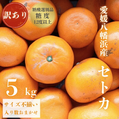 【ふるさと納税】【みかんの大トロ】糖度12.0以上酸1.4以下 糖酸選別品 訳あり 愛媛セトカ5kg【D20-74】【1620328】