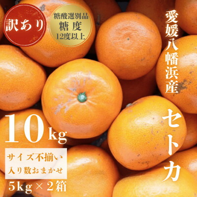 【ふるさと納税】【みかんの大トロ】糖度12.0以上酸1.4以下 糖酸選別品 訳あり愛媛セトカ10kg【G20-75】【1620329】