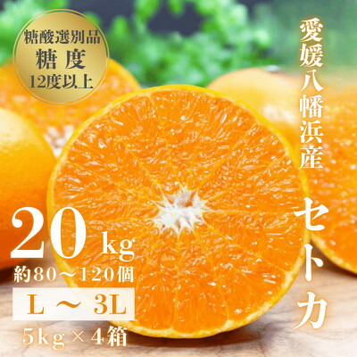 【ふるさと納税】【みかんの大トロ】糖度12.0以上 酸1.4以下 糖酸選別品 愛媛セトカ 20kg【H20-78】【1620333】