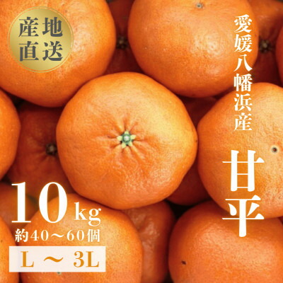 【ふるさと納税】【愛媛が誇る 高級みかん 希少品種】甘平 (かんぺい) 10kg【H20-67】【1620337】