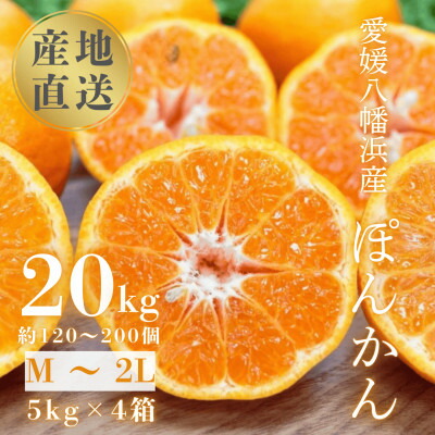 【ふるさと納税】【南国を感じさせる独特の香り】愛媛ポンカン 20kg【H20-70】【1620342】