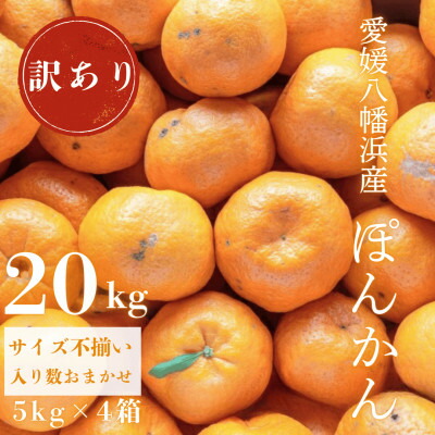 【ふるさと納税】【南国を感じさせる独特の香り】訳あり 愛媛ポンカン 20kg【H20-71】【1620343】