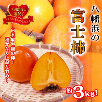 【ふるさと納税】甘さにニッコリ!日本最大級の柿「富士柿」約3キロ【C39-72】【配送不可地域：離島】【1620371】