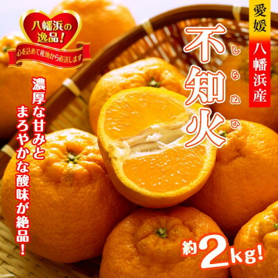 【ふるさと納税】2026年2月～順次出荷　甘さと酸味の絶妙なバランス!はじける果肉「不知火」約2キロ【B39-75】【配送不可地域：離島】【1620481】
