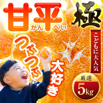 【ふるさと納税】【甘みぎっっしり!】シャキシャキ甘い♪♪【甘平】5kg【H49-78】【1621089】