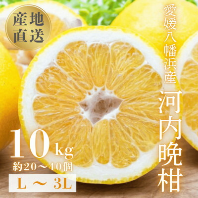 【ふるさと納税】《果汁たっぷりジューシー》産地直送 愛媛八幡浜産 河内晩柑10kg【G20-80】【1621505】