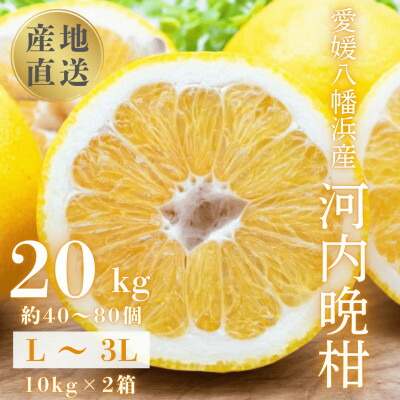 【ふるさと納税】《果汁たっぷりジューシー》産地直送 愛媛八幡浜産 河内晩柑20kg【H20-81】【1621533】