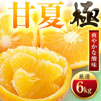 【ふるさと納税】【太陽をたっぷり浴びた】甘夏【極】6kg【C49-85】【1621797】