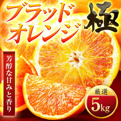 【ふるさと納税】【太陽をたっぷり浴びた】ブラッドオレンジ(タロッコ)【極】5kg【E49-88】【1621800】