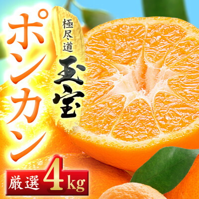【ふるさと納税】【愛媛名産】玉宝ポンカン　4kg【C64-65】【1621807】