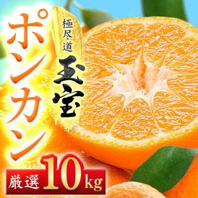 【ふるさと納税】【愛媛名産】玉宝ポンカン　10kg【F64-66】【1621808】
