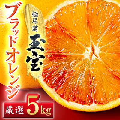 【ふるさと納税】【愛媛名産】玉宝ブラッドオレンジ(タロッコ)　5kg【E64-68】【1621810】