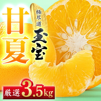 【ふるさと納税】【愛媛名産】玉宝甘夏　3.5kg【C64-73】【1621818】