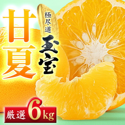 【ふるさと納税】【愛媛名産】玉宝甘夏　6kg【C64-74】【1621819】